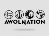 Concert Awolnation