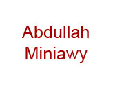 Concert Abdullah Miniawy