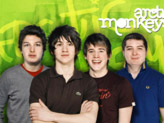 Concert Arctic Monkeys