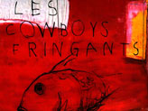 Concert Cowboys Fringants