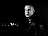 Concert DJ Snake