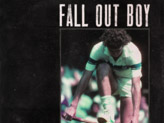Concert Fall Out Boy