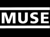 Concert Muse