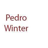 Concert Pedro Winter
