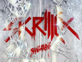 Concert Skrillex