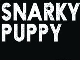 Concert Snarky Puppy