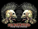 Concert The Exploited