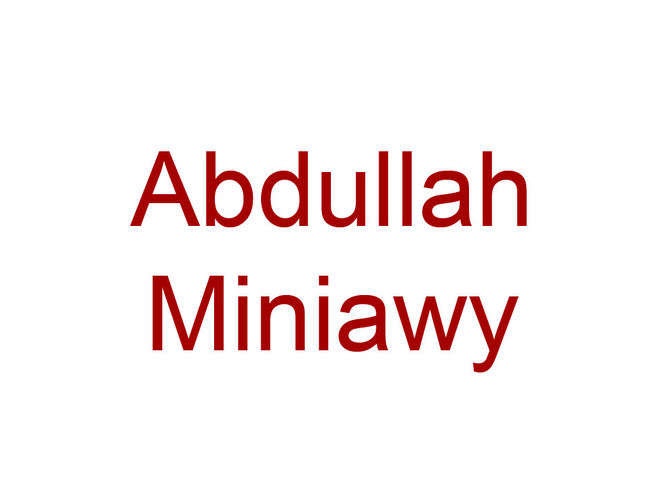 Abdullah Miniawy en concert