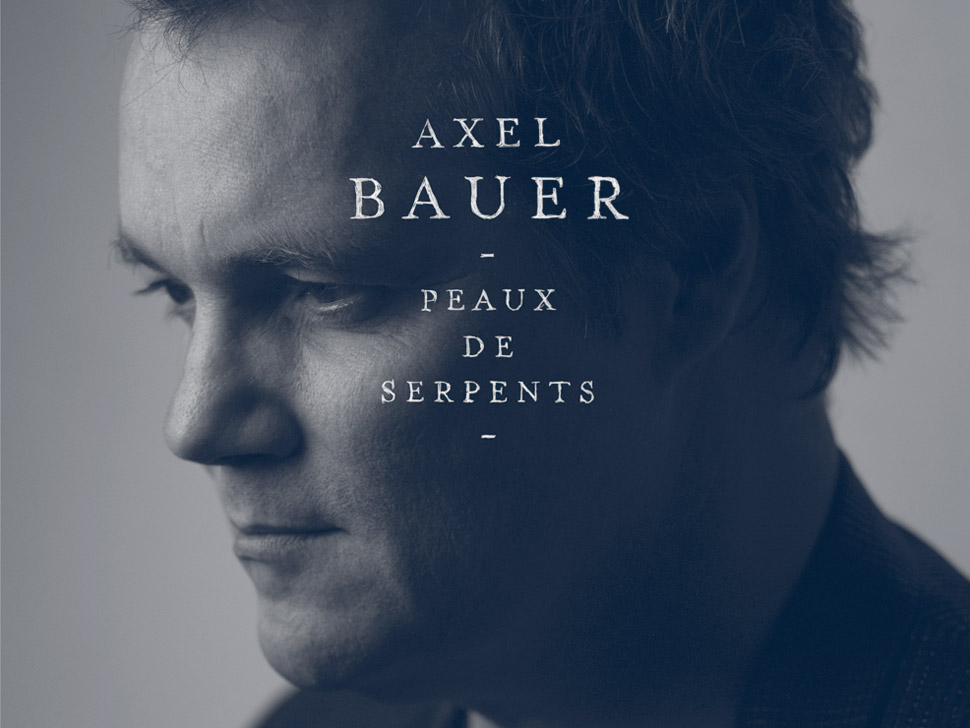 Axel Bauer en concert