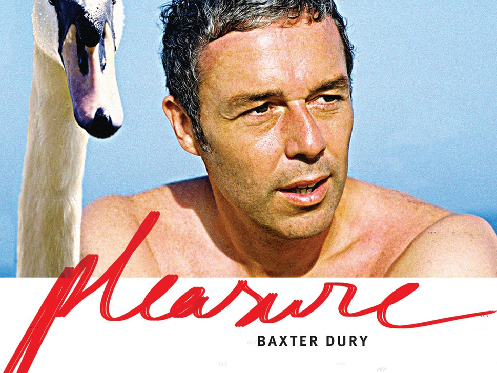 Baxter Dury en concert