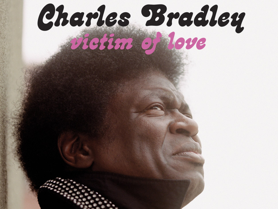 Charles Bradley en concert