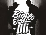 Concert Bigflo et Oli