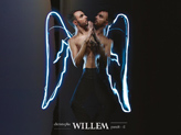 Concert Christophe Willem