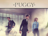 Concert Puggy