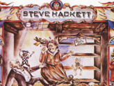 Concert Steve Hackett