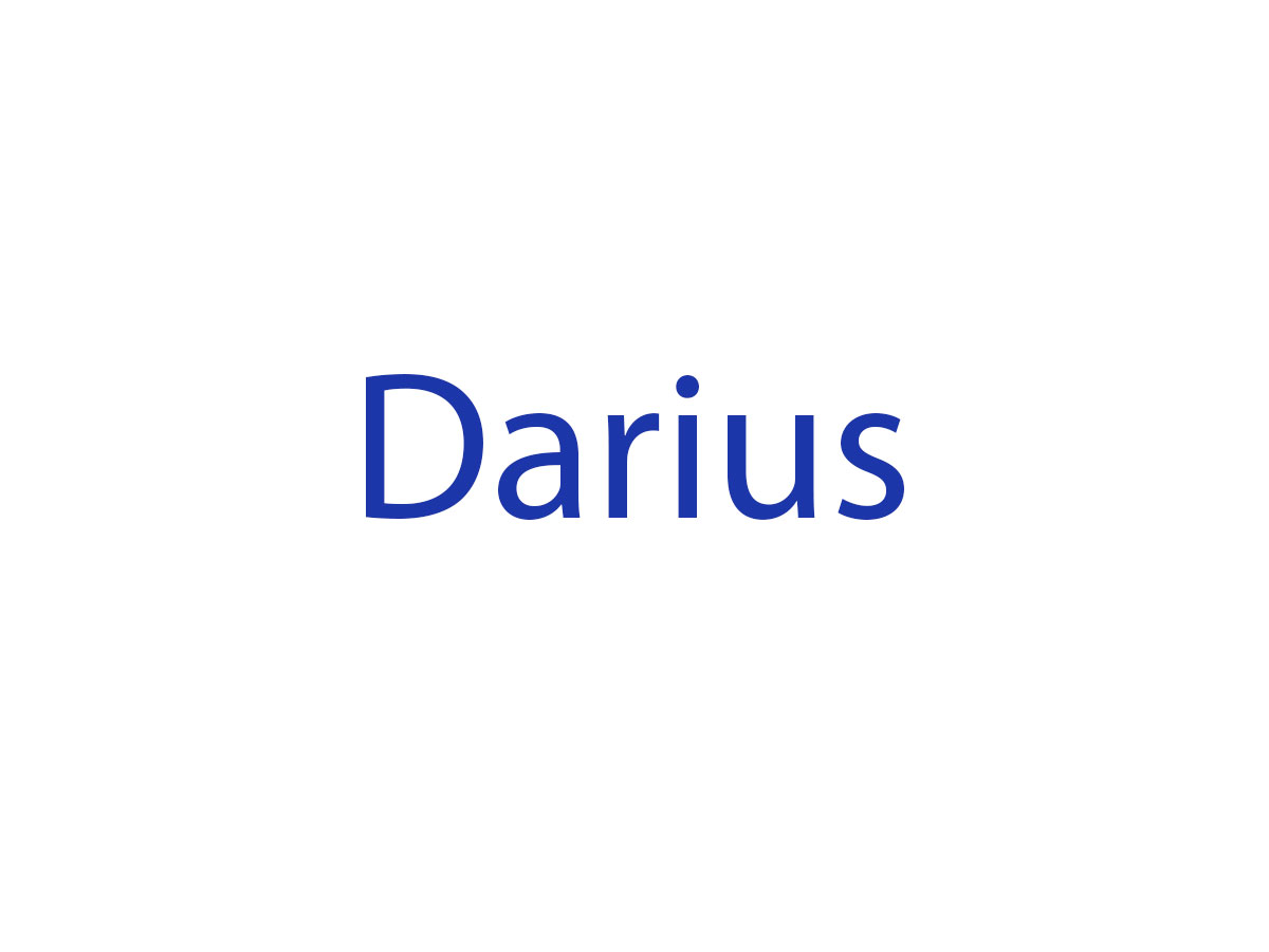 Darius en concert