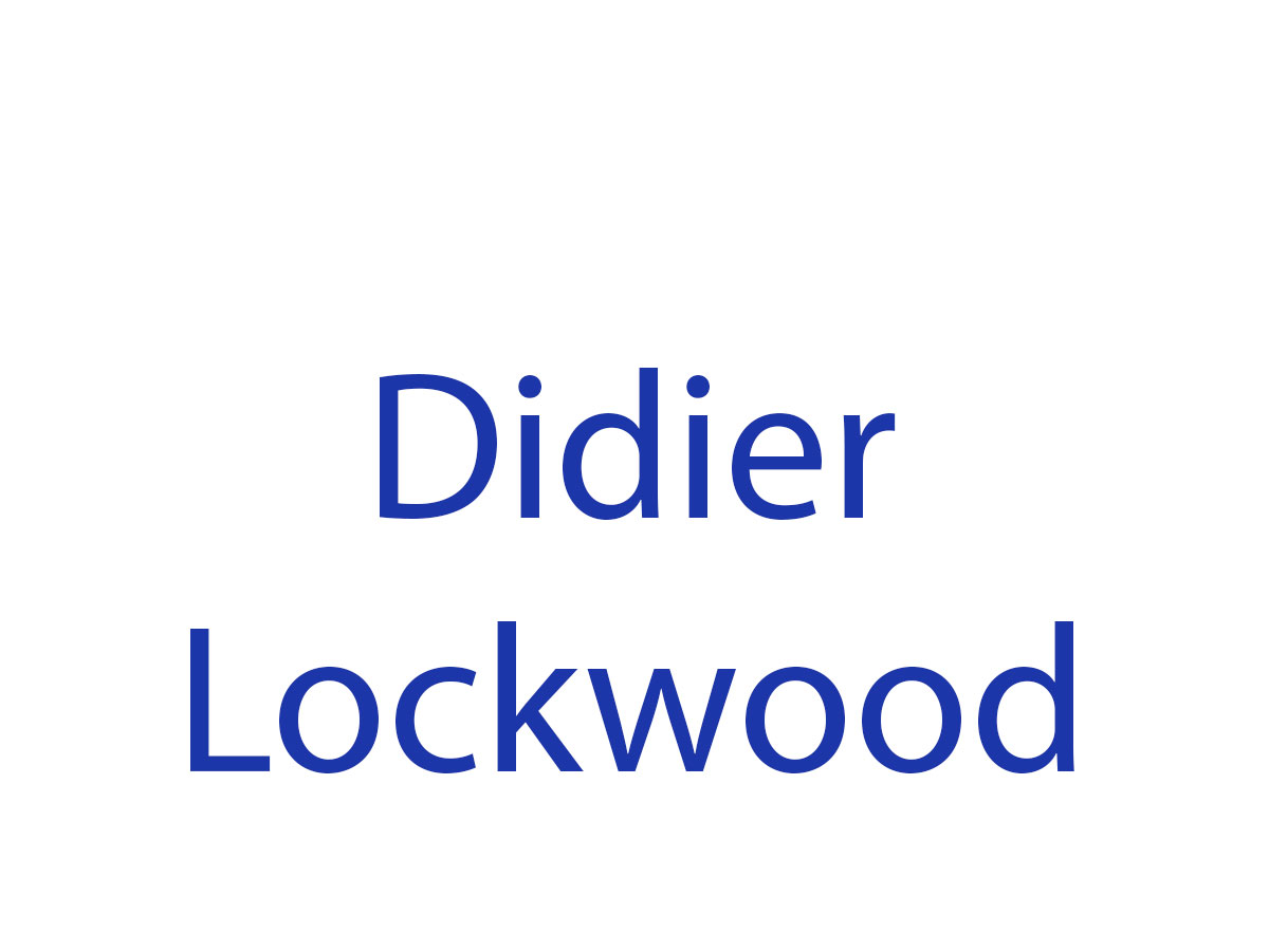 Didier Lockwood en concert