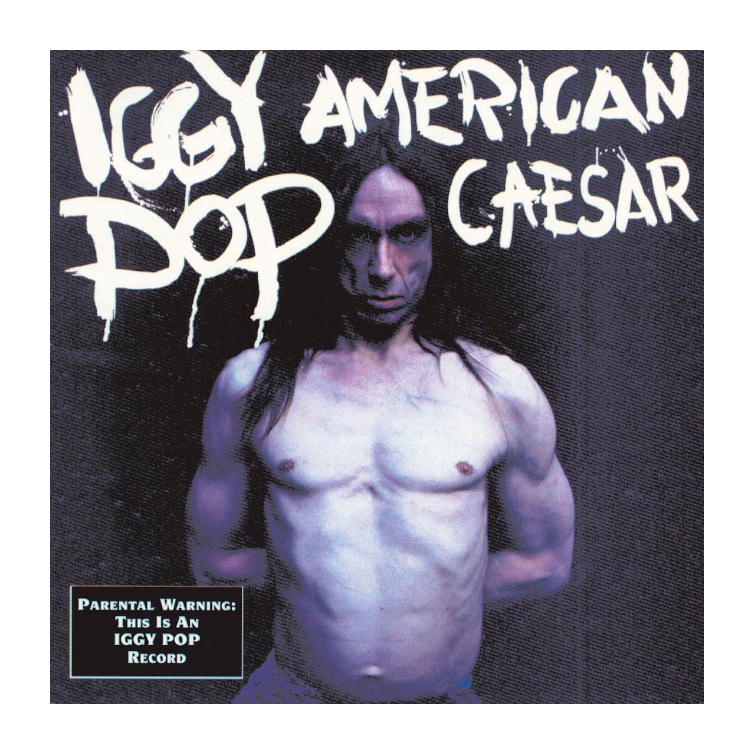 Concert Iggy Pop