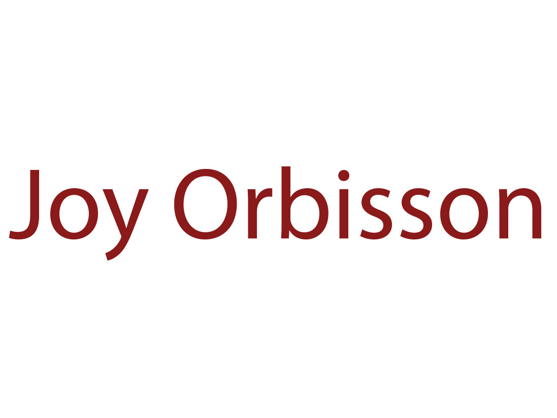 Joy Orbison en concert