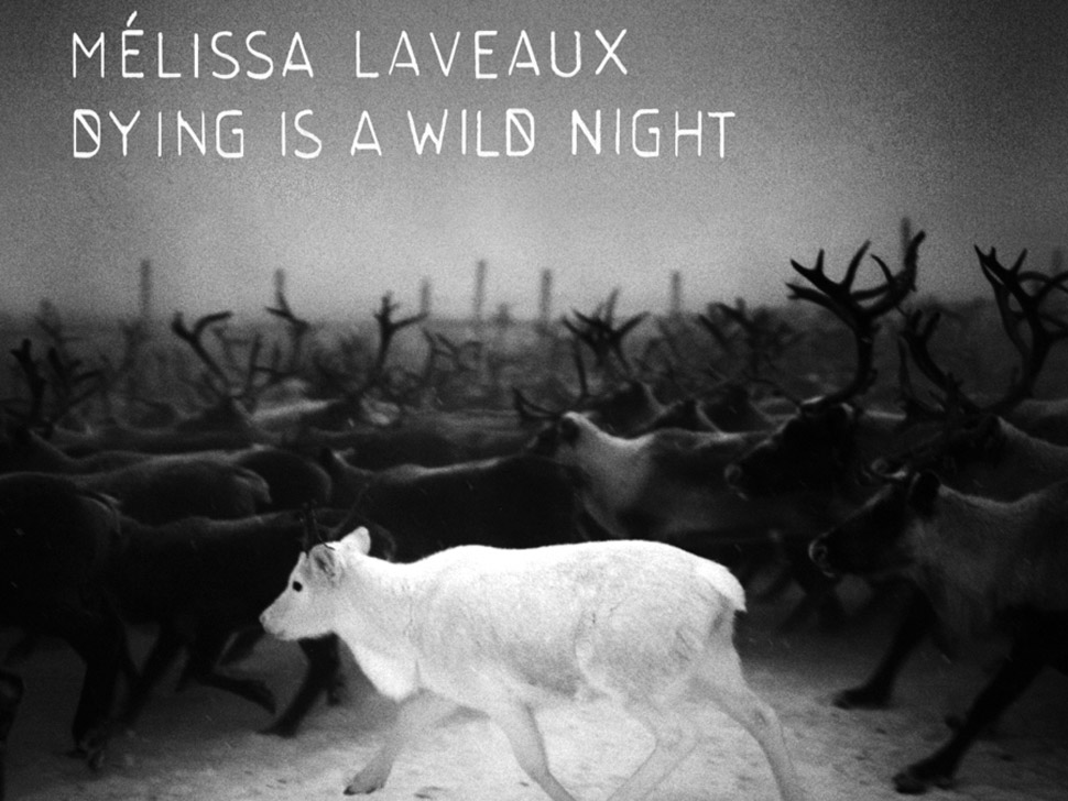 Concert Melissa Laveaux