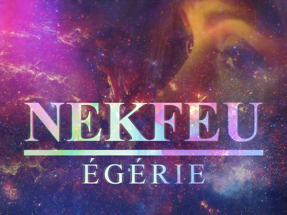 Concert Nekfeu