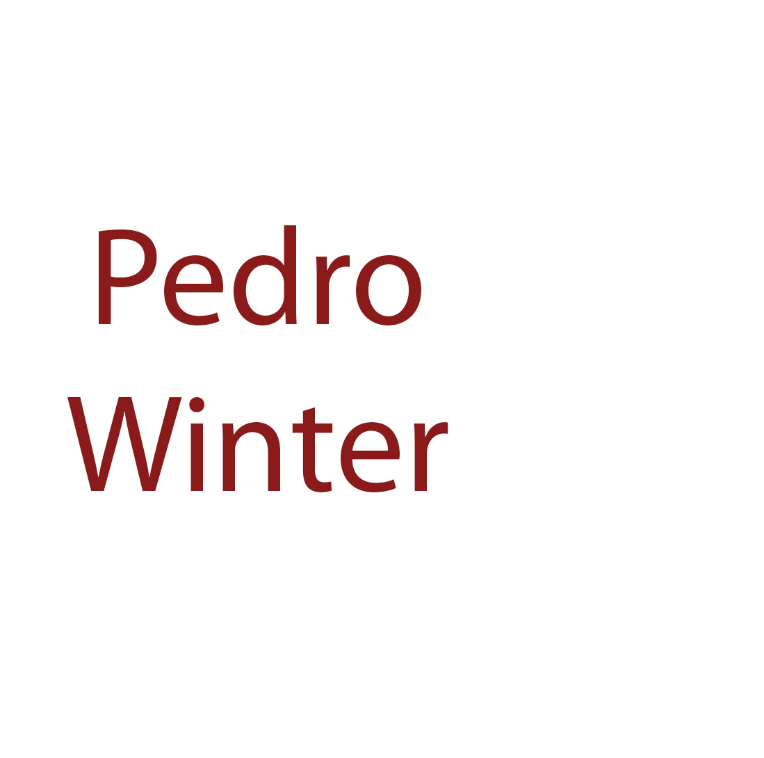 Pedro Winter en concert