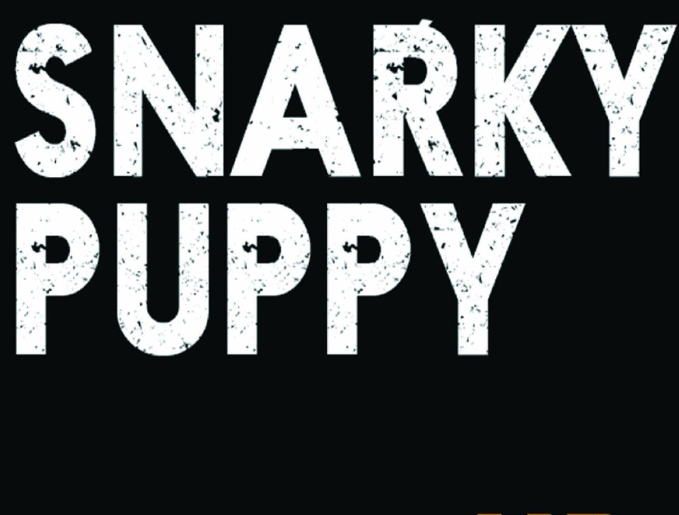 Snarky Puppy en concert