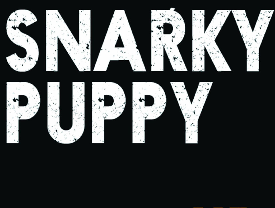 Concert Snarky Puppy 2024 2025