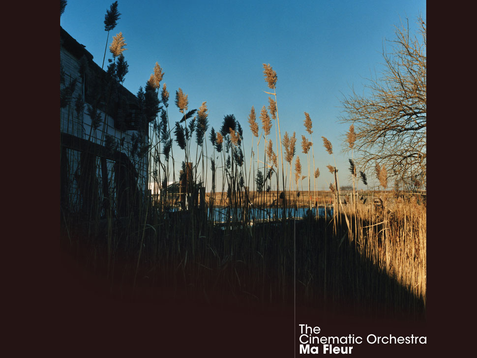 The Cinematic Orchestra en concert