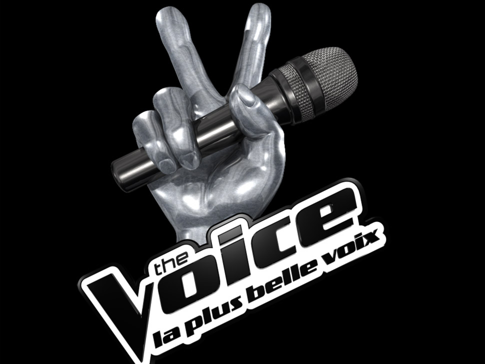 Voice Tour en concert