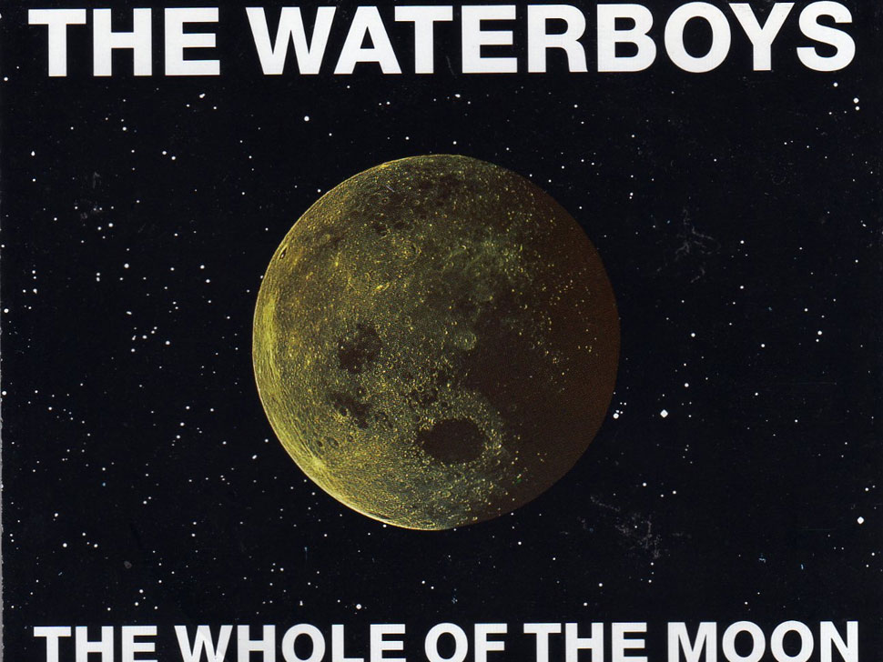 The Waterboys en concert